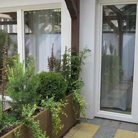 Rofel Goscinne Проживание в семье *