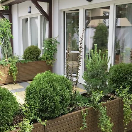 Rofel Goscinne Сопот