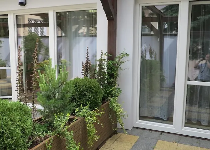 Rofel Goscinne Проживание в семье *