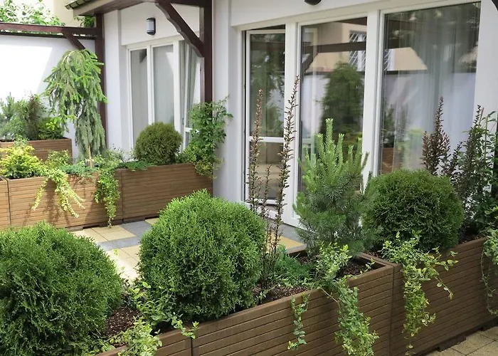 Rofel Goscinne Сопот