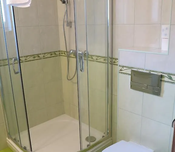 Rofel Goscinne Проживание в семье